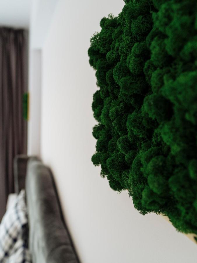 Cozy Special Pallady Apartament With Garden & Courtyard Bucharest Luaran gambar